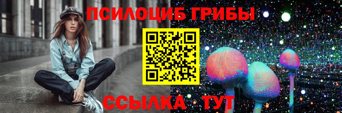 Псилоцибиновые грибы GOLDEN TEACHER  Вход с VPN  Мурино 