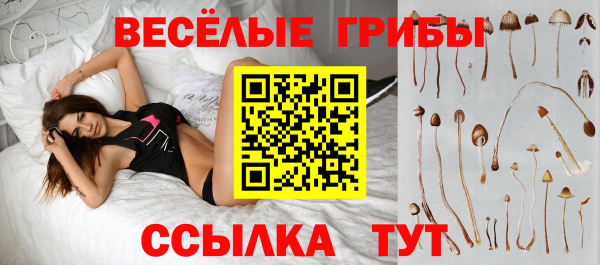 Псилоцибиновые грибы MAGIC MUSHROOMS Мурино